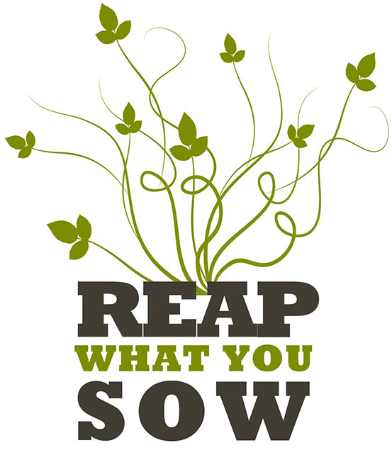 Sowing and Reaping, Think about the types of seeds you have been sowing. Are you sowing encouragement, blessing? Then that’s what you’ll reap in the future.